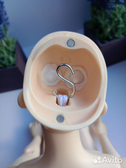 Бронь.Кукла iplehouse Bjd 1/3.EID. Asa Tokyo story