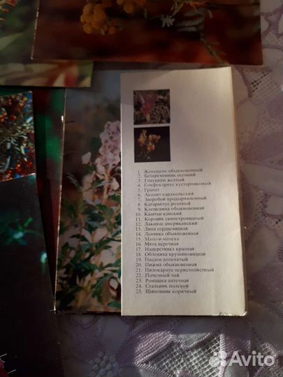 Набор открыток Лекарственные растения