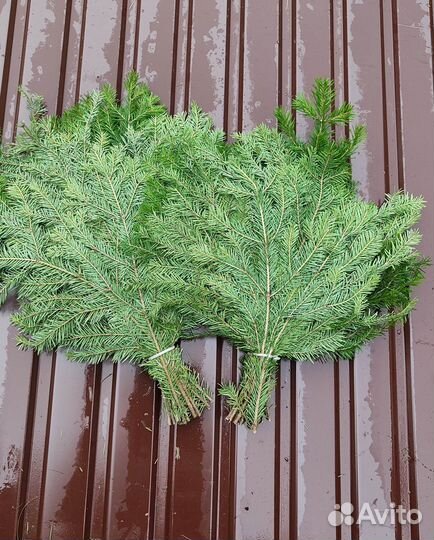 Банные веники 