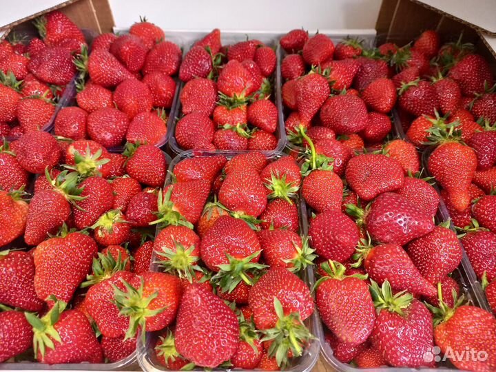 Клубника с доставкой овощи фрукты орехи сухофрукты