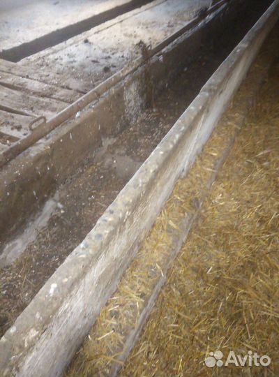 Кормушка для крс