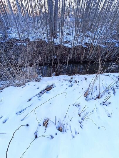 Участок 12 сот. (СНТ, ДНП)