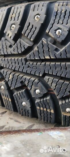 Nokian Tyres Nordman 5 175/65 R14