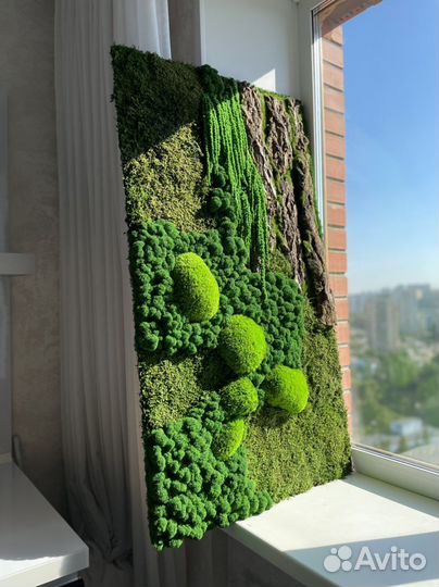 Панно из стабилизированного мха