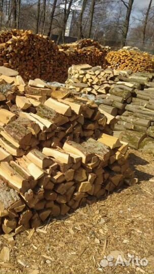 Дрова колотые дуб