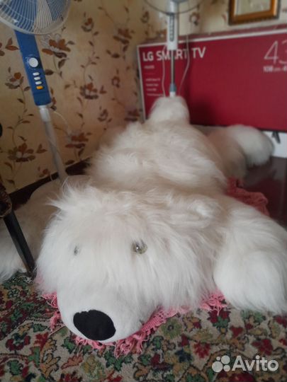 Большой,белый мишка