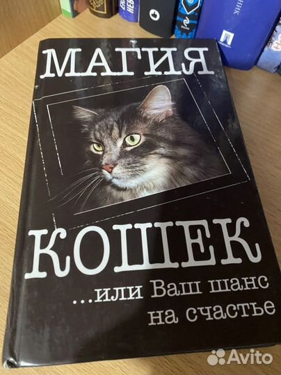 Книга магия кошек
