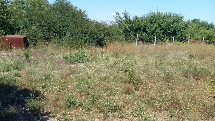 Участок 6 сот. (СНТ, ДНП)