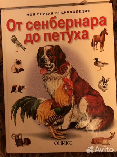 Детская книга / книги моя первая энциклопедия оник
