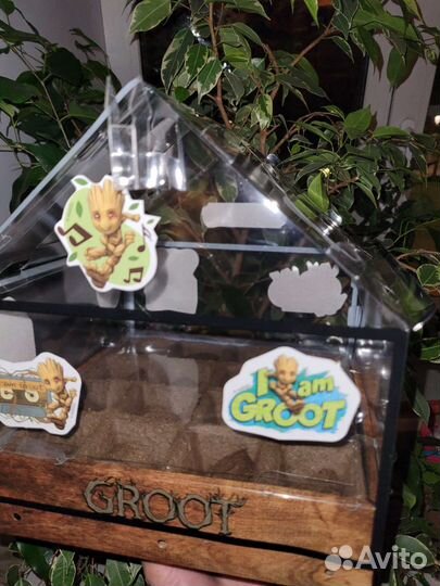 Минитеплица парник для рассады