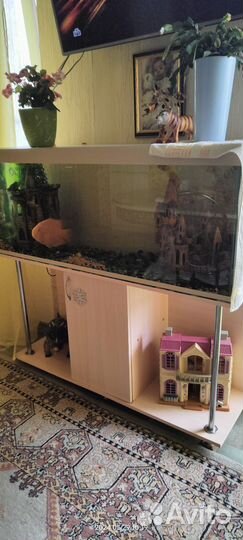 Аквариум