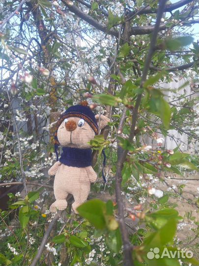 Кот Клубок-Колобок