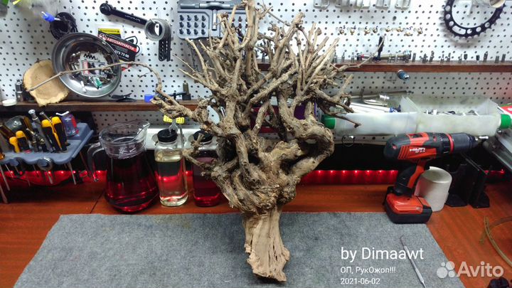 Корень Винограда для декора