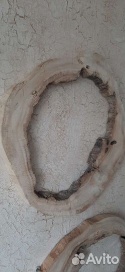 Спилы дерева