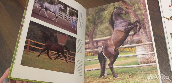 Книги о лошадях