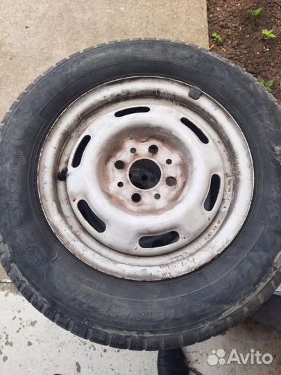 Белшина Бел-257 175/70 R13