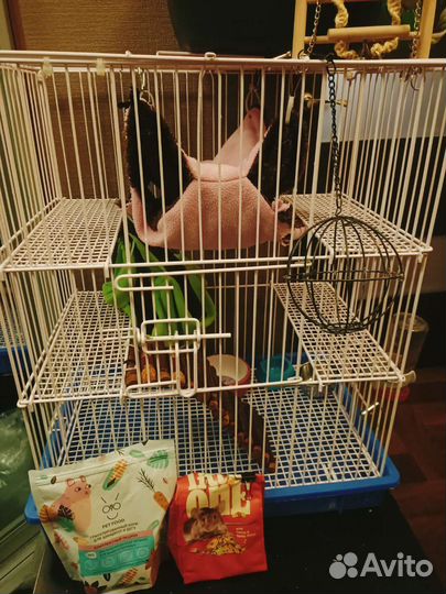 Клетка большая для грызунов средних размеров, крыс