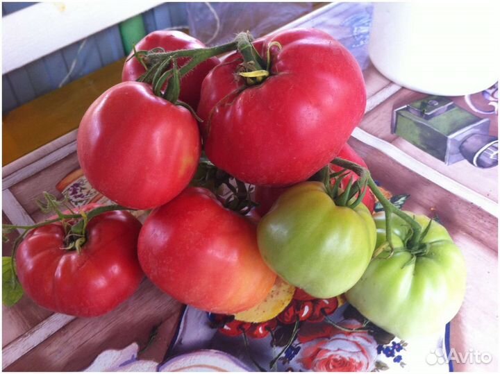 Семена-Легендарная Сызранская Розовая Помидора