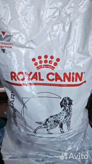 Сухой корм для собак