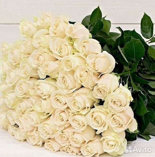 Высокие розы Гигантские розы Доставка цветов