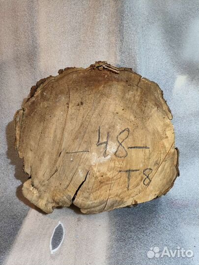 Торцевые спилы деревьев