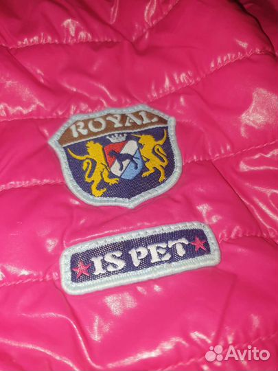 Одежда для собак