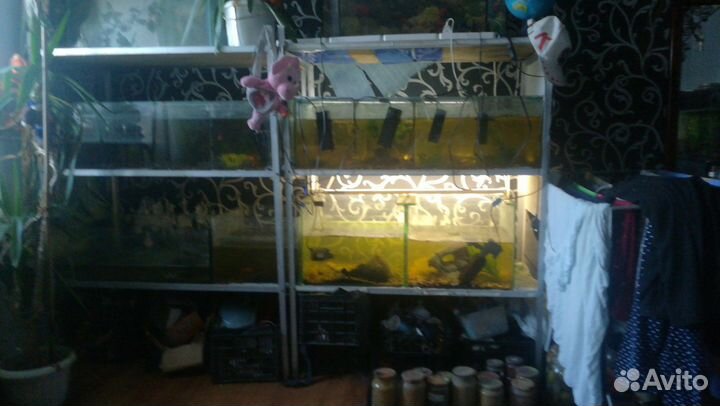 Аквариум