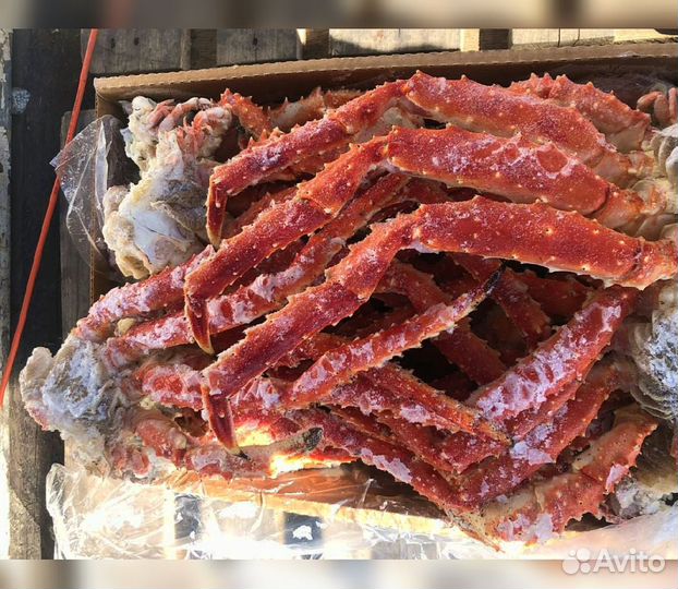 Клешни камчатского краба