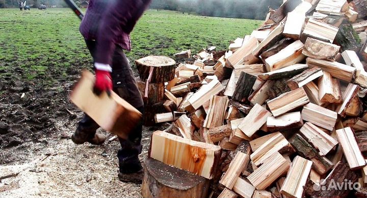 Дрова в розницу