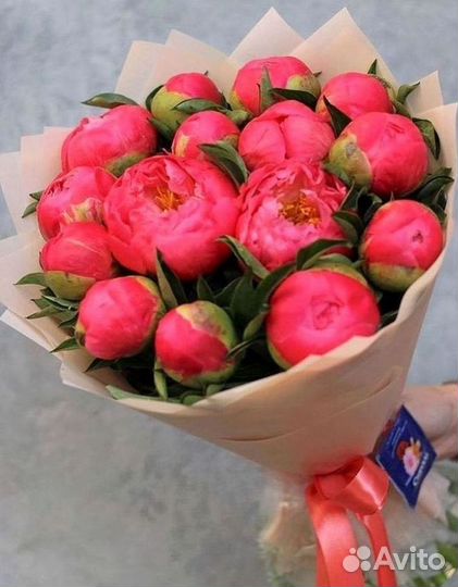 Пионы Розы Доставка