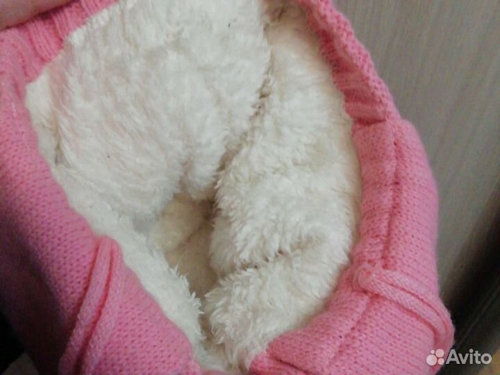 Комплект шапка, шарф