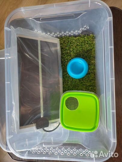 Террариум для содержания рептилий