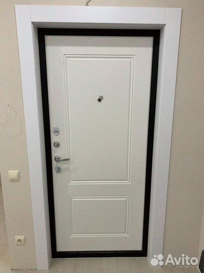 Дверь входная аргус