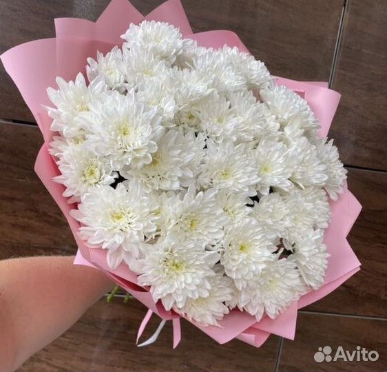 Хризантема кустовая