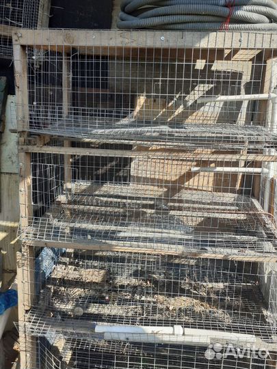 Клетка для перепелов