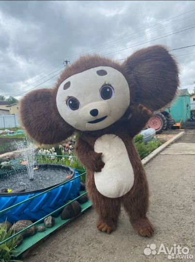 Поздравления от весёлого Ушастика Чеба