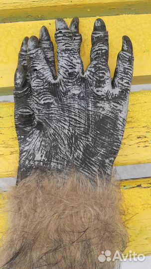 Перчатки (животного)