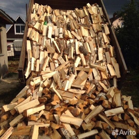 Дрова колотые береза