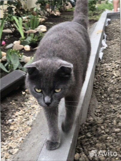 Тротуарная плитка #Производство #Доставка