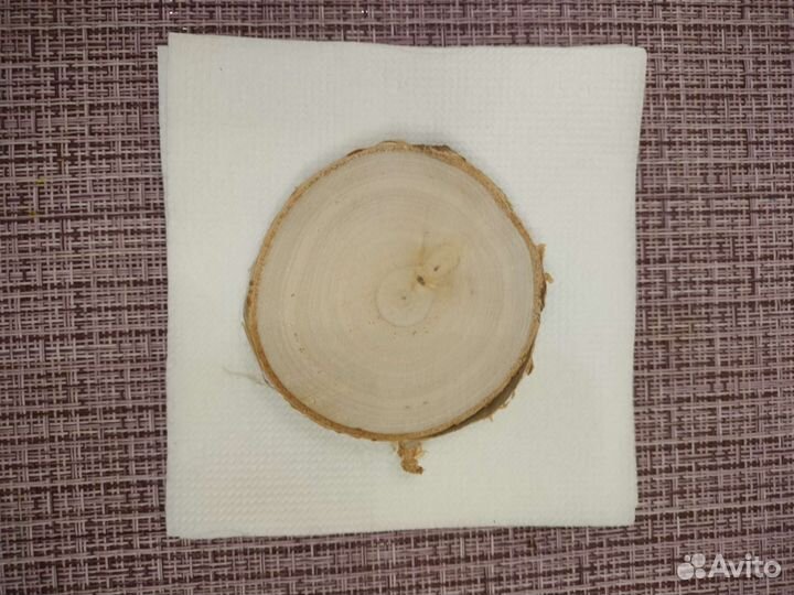 Спил березы. Мини картина маслом