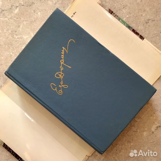 Дождь пополам с солнцем, Ефим Дорош, 1990 год