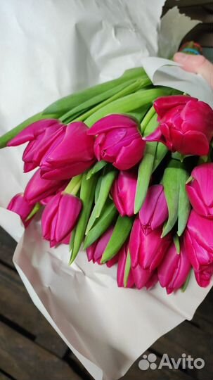Тюльпаны оптом, мелким оптом