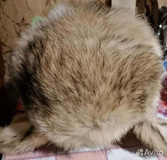 Шапка из полярного волка размер 62 размер