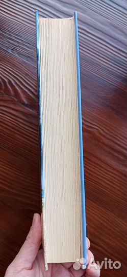 Сто великих загадок Африки. Н. Непомнящий