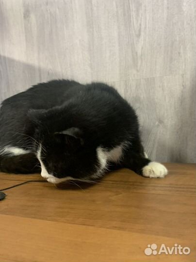 Мира с рынка