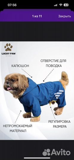 Дождевик для маленькой/средней собаки