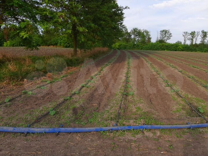 Участок 70 сот. (ИЖС)