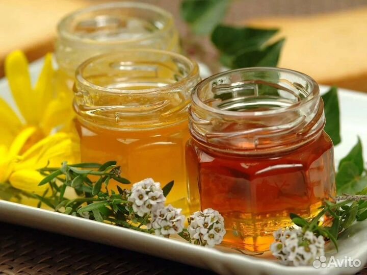Мёд башкирский