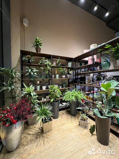 Продаю цветочный салон