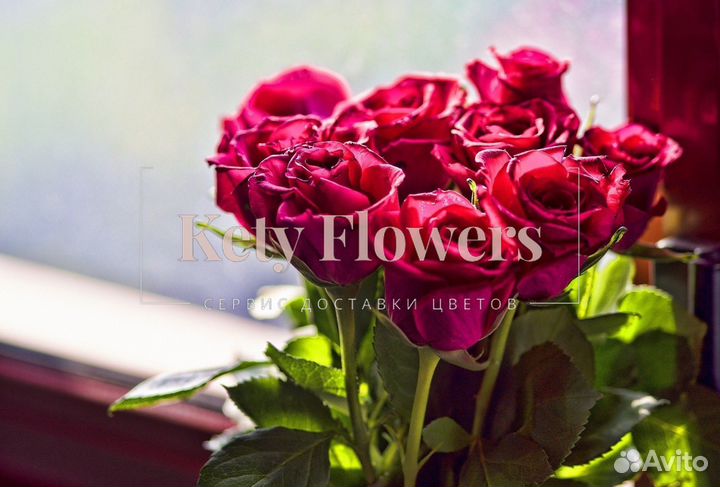 Розы Цветы Букеты 101 Роза Доставка